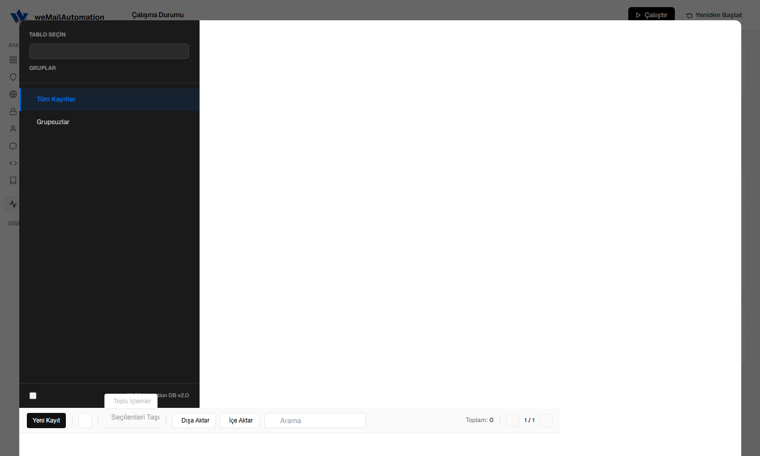 weMailAutomation Veritabanı — tablo, gruplar ve toplu işlemler
